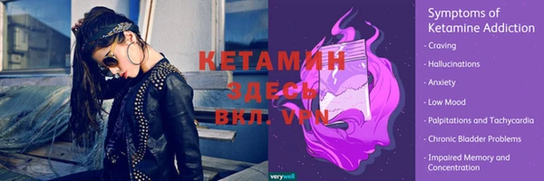 крисы Баксан