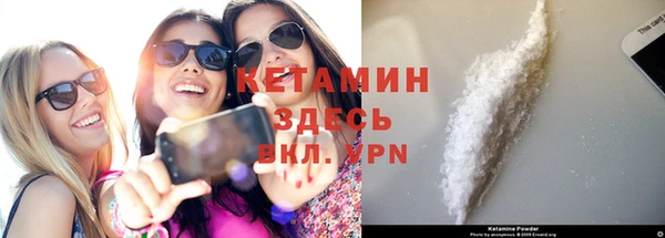 крисы Баксан