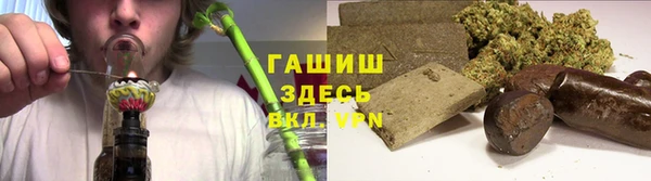 крисы Баксан