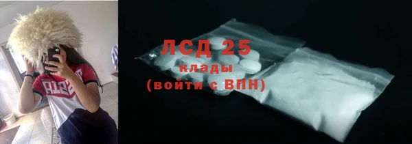 крисы Баксан